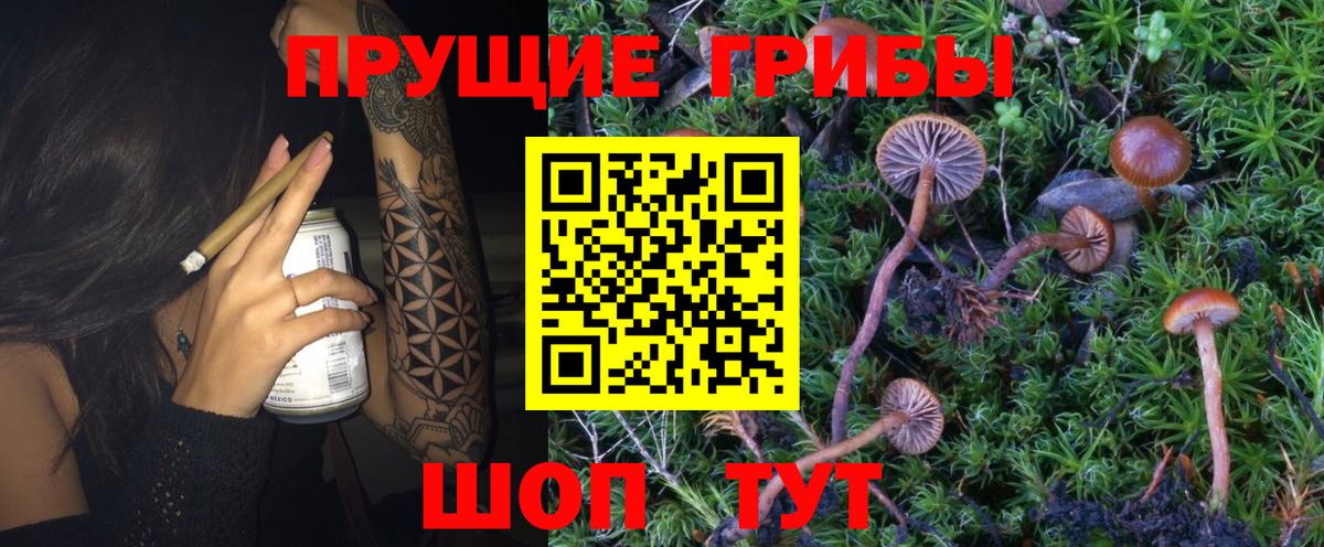 Галлюциногенные грибы GOLDEN TEACHER Черногорск