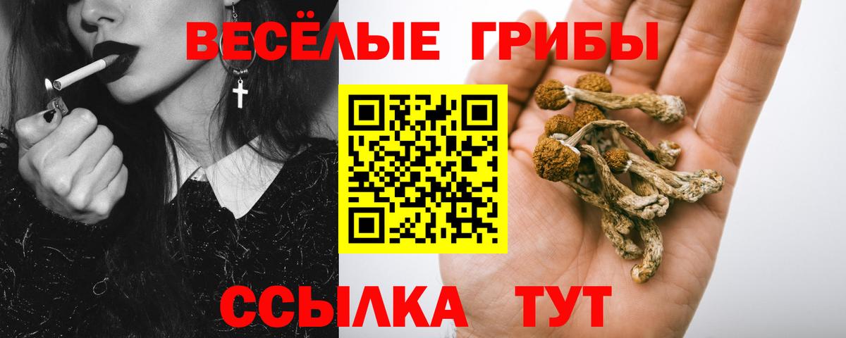 Псилоцибиновые грибы мухоморы  где можно купить наркотик  Черногорск  Вход с VPN 